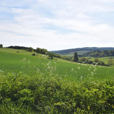 Charming Holiday In Ode With Terrace