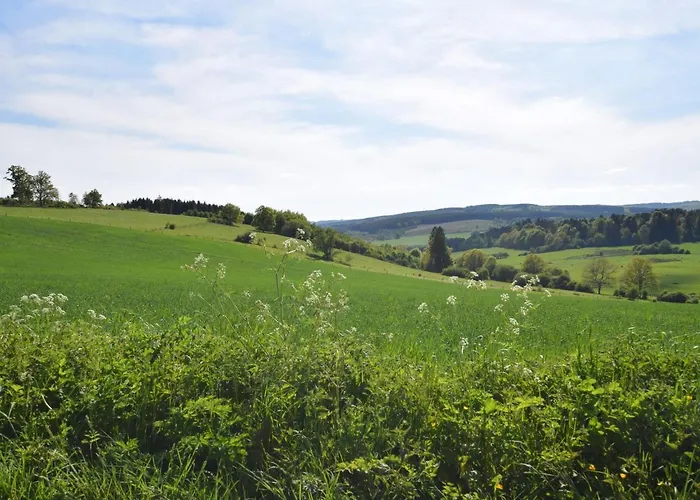 Charming Holiday In Ode With Terrace